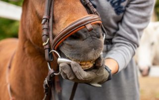 Bit and Bridle | Osage Hills Christian Church